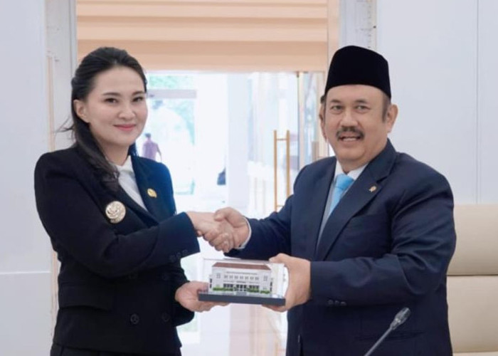 Gubernur Maluku Utara dan Bappenas Bersinergi Percepat Infrastruktur dan Investasi