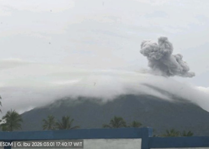 Halmahera Barat Siaga! Gunung Ibu Bergetar Hebat Selama 50 Detik