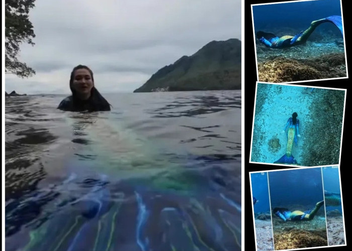 Wisata Selam Maluku Utara Menggeliat, Gubernur Sherly Pastikan Keuntungan untuk Warga Hiri