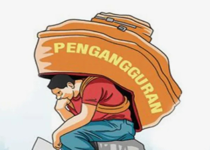 Pengangguran di Maluku Utara Meningkat Meski Lapangan Kerja Bertambah