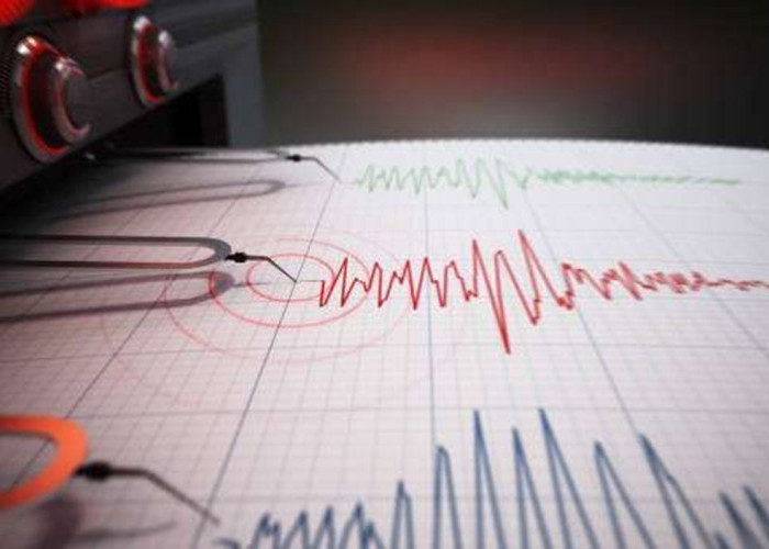 Gempa 3.6 Magnitudo Terjadi di Barat Daya Tobelo, Ini Lokasi dan Kedalamannya