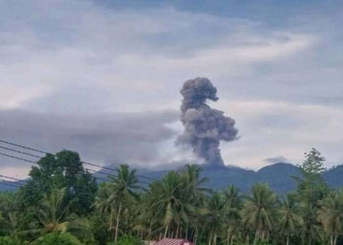 Peringatan Erupsi! Gunung Dukono Lontarkan Abu Disertai Getaran Dahsyat