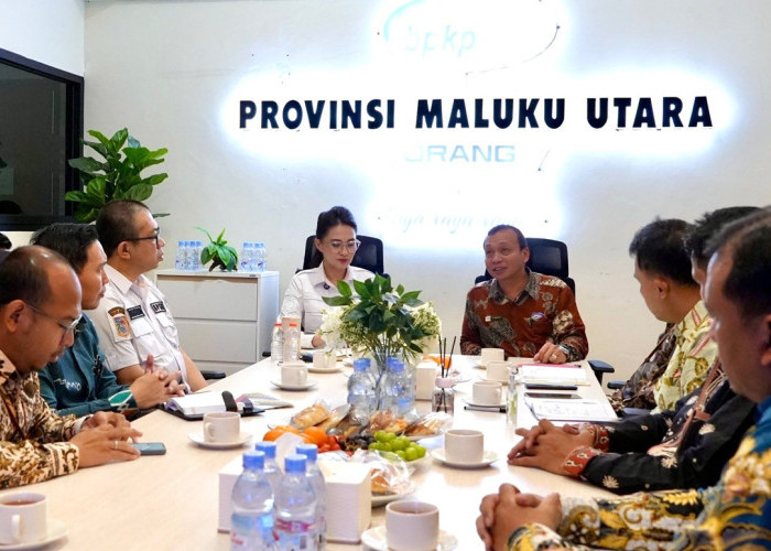 Temui BPKP, Gubernur Sherly Tegaskan Komitmen Tata Kelola Bersih dan Akuntabel di Maluku Utara