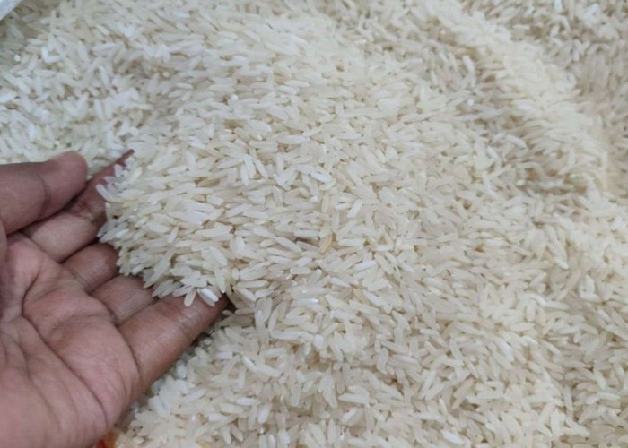 Dinas Perindag Malut Turun Tangan Soal Beras Oplosan