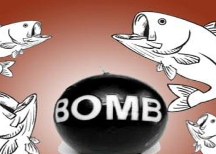 Polisi Ungkap Pelaku Bom Ikan di Perairan Taliabu, Tangkap Nelayan Pemburu Ilegal
