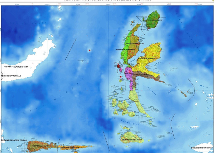 Dari Pala Dukono ke Kelapa Bido: Malut Maksimalkan Indikasi Geografis Jadi Primadona ASEAN