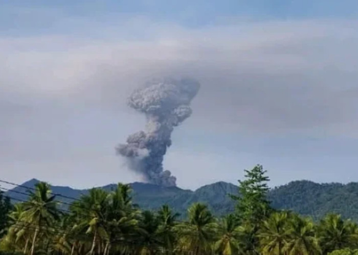 Gunung Dukono Erupsi Hebat: Kolom Abu Vulkanik Tembus 2 Kilometer