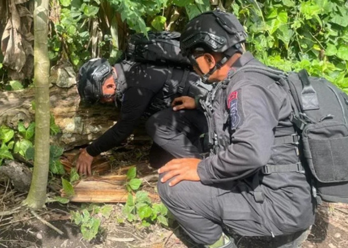 Dikira Granat Biasa, Ternyata Bom Ranjau Darat Perang Dunia II Diledakkan Brimob Polda Malut
