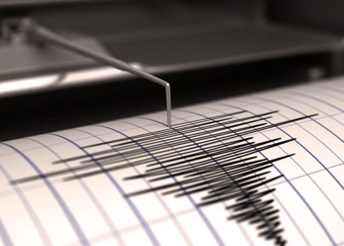 Gempa Magnitudo 3.1 M Landa Jailolo Maluku Utara, Ini Penjelasan BMKG