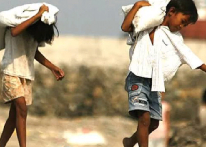 Pekerja Anak di Maluku Utara 4.89%, Pemerintah Fokus Perluas Akses Pendidikan