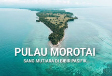 Morotai Bidik Predikat Zona Hijau Pelayanan Publik 2026