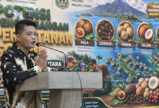 Pemprov Malut Genjot Nilai Tambah 250 Ribu Hektare Perhutanan Sosial