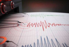 Gempa Bumi Magnitudo 3.0 Goyang Halmahera Utara 