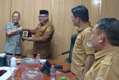 APHI & Pemprov Malut Sulap 739 Ribu Hektare Hutan Jadi Pusat Agroforestri dan Perdagangan Karbon