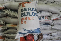 Jelang Lebaran 2026! Bulog Ternate Beberkan Stok Beras 2.000 Ton dan Setengah Juta Liter Minyak