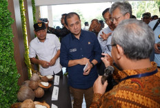Maluku Utara Bersiap Jadi Episentrum Industrialisasi Kelapa Nasional