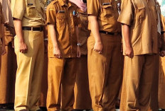 Diam-diam ASN Maluku Utara Kini Diawasi Aplikasi! Ini Cara Pemerintah Pantau Kinerja Pegawai Setiap Hari