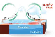 El Nino Sangat Kuat Mengintai Maluku Utara, 6 Wilayah Terancam Kekeringan Ekstrem