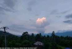 Halmahera Utara Mencekam! Gunung Dukono Meletus Dahsyat 2.400 Meter, Radius 4 KM Wajib Kosong!