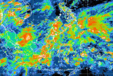 Gelombang Tinggi Ancam Perairan Maluku Utara! BMKG Keluarkan Peringatan Dini