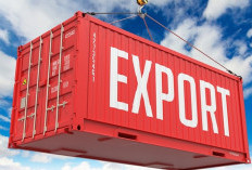 GILA! Ekspor Maluku Utara Meroket 28 Persen, Logam Naik 500 Persen Lebih