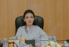 Gubernur Sherly Siaga Amankan Harga Jelang Idul Adha
