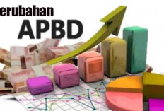 Realisasi Pendapatan Malut Semester I 2026 Tembus Rp1,432 Triliun