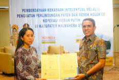 Dhavocs Resmi Amankan Sertifikat Merek Eksklusif dari Kanwil Kemenkum Malut