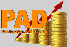 GASPOL! PAD Maluku Utara Melejit Rp355 Miliar!