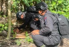 Dikira Granat Biasa, Ternyata Bom Ranjau Darat Perang Dunia II Diledakkan Brimob Polda Malut