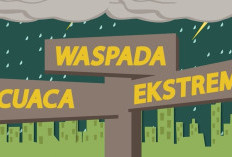 Hujan Lebat & Petir Hantam 9 Wilayah Maluku Utara, Cek Daftar Daerah Terdampak