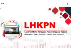 Peringatan Keras Wagub Malut: 400 Pejabat Belum Setor LHKPN 