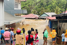 TRAGEDI HALBAR! Banjir dan Longsor Terjang, Ribuan Warga Terdampak, Korban Jiwa Berjatuhan